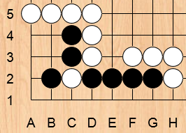 probleem 8